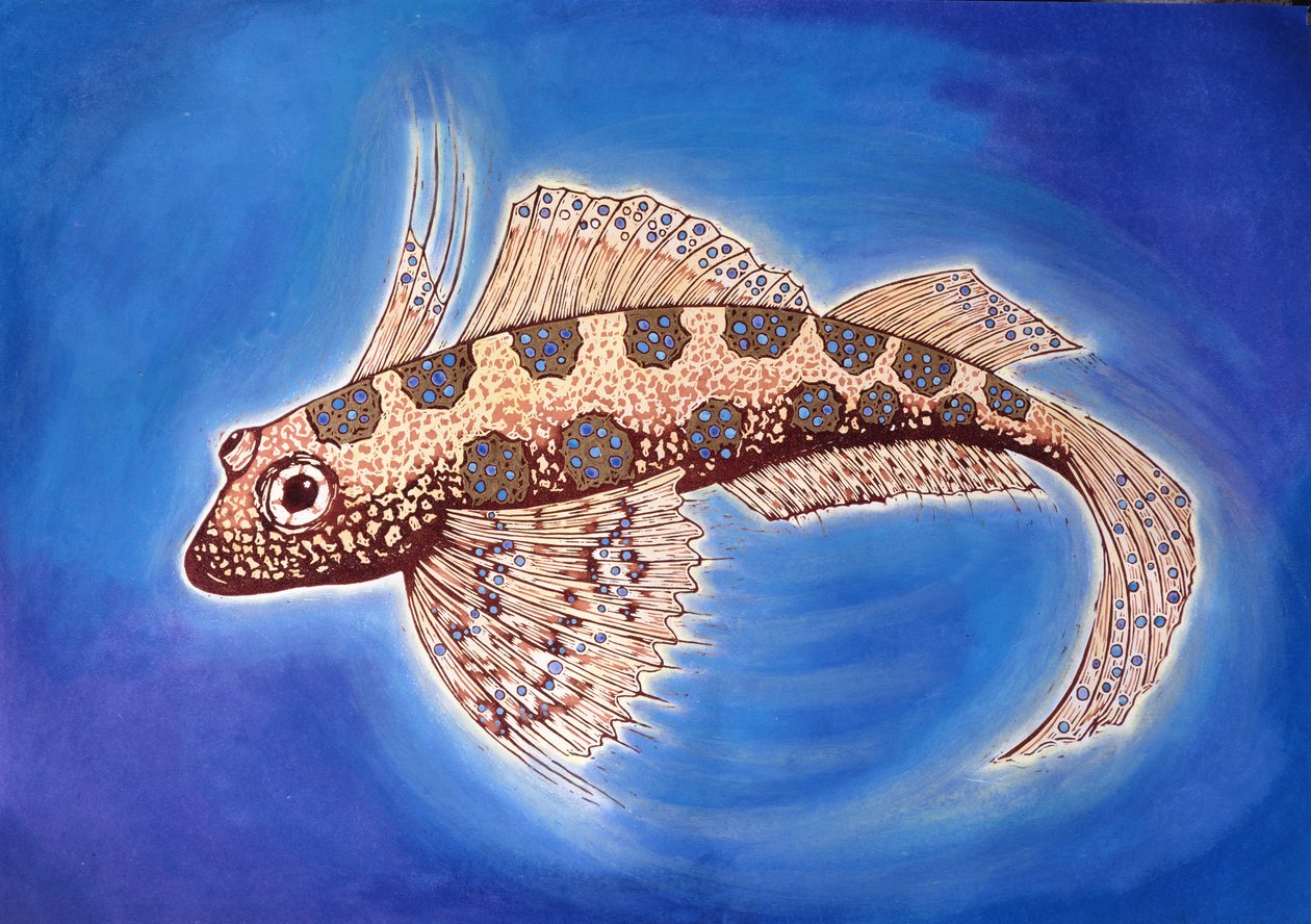Dragonet Fish, 1999 (dřevořez a kombinovaná technika) od Nat Morley