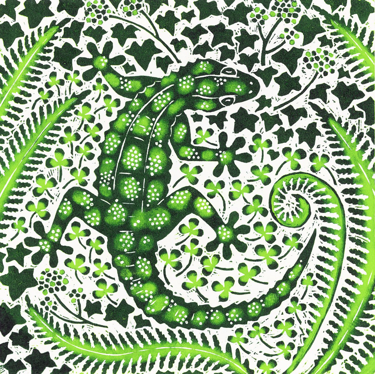 Gecko zelený, 2002 od Nat Morley