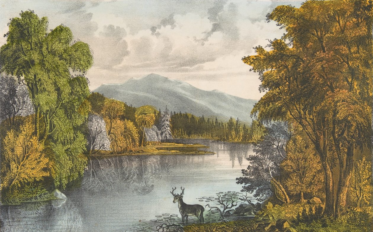 Moosehead Lake, Maine, 1857-72., 1857-72. Tvůrci: Nathaniel Currier, James Merritt Ives, Currier a Ives. od Currier and Ives