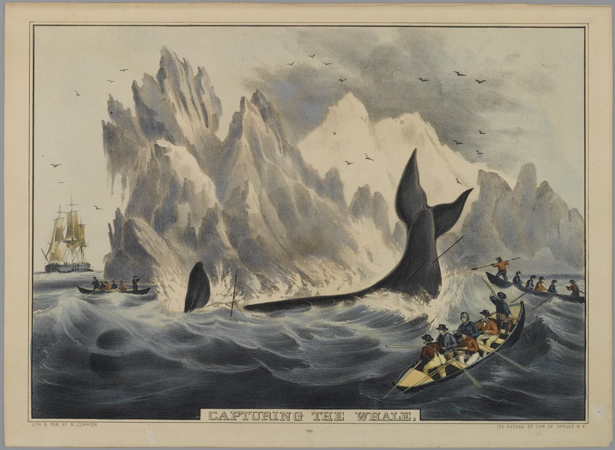 Zachycení velryby (ručně kolorované litho) od Nathaniel Currier