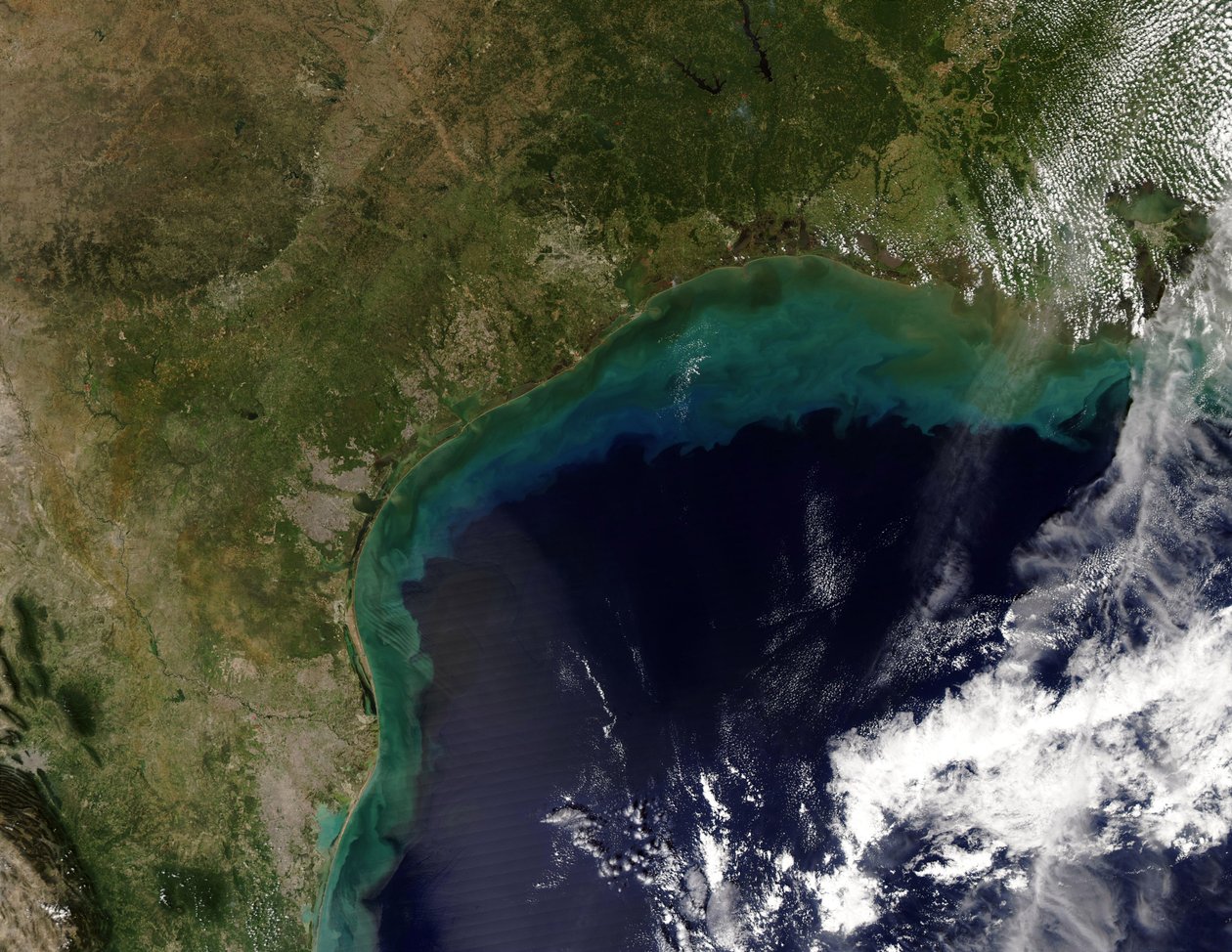 Satelitní pohled na pobřeží Mexického zálivu, USA - Tamaulipas, Mexiko, do New Orleans, Louisiana. Poděkujte NASA. Věda Země Geologie Oceánografie od National Aeronautics and Space Administration National Aeronautics and Space Administration