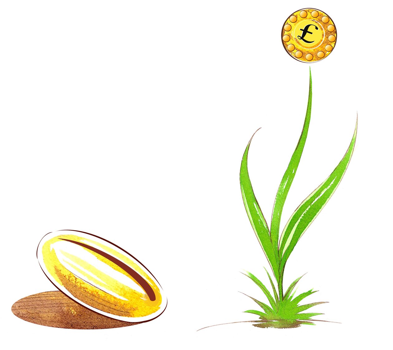 Seed and shoot - ilustrace finanční alegorie od Neale Osborne