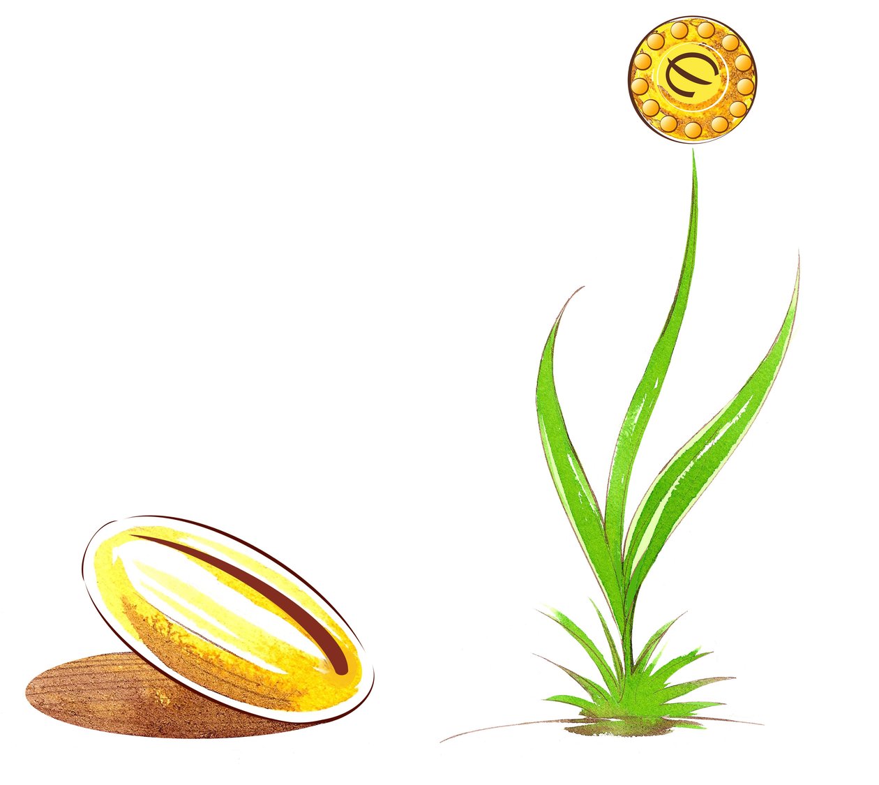 Seed and shoot - ilustrace finanční alegorie od Neale Osborne
