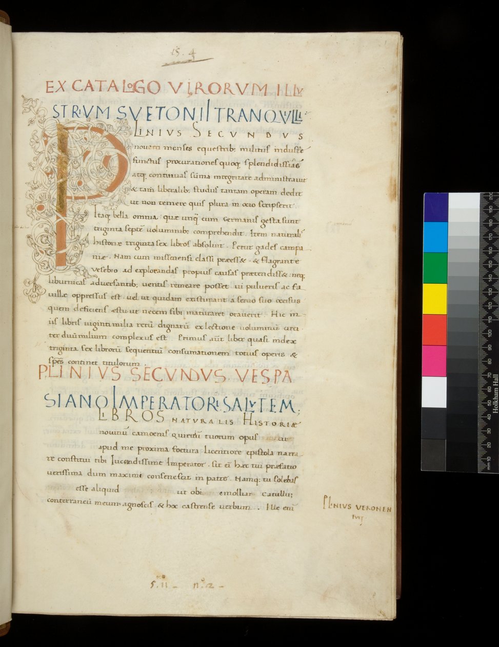 Paní 394,1. Plinius starší, Historia naturalis, f.1r. Iluminovaná iniciála [P] s bílou výzdobou vinné révy (nedokončeno), Neapol, polovina 15. století, kolem 1442 (pergamen) od Neapolitan School