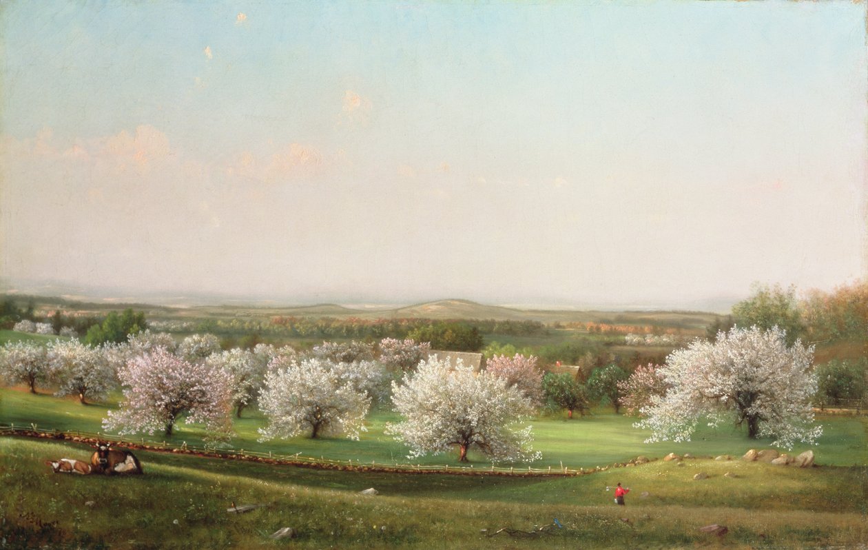 Jablečný sad, 1878 od Nelson Augustus Moore