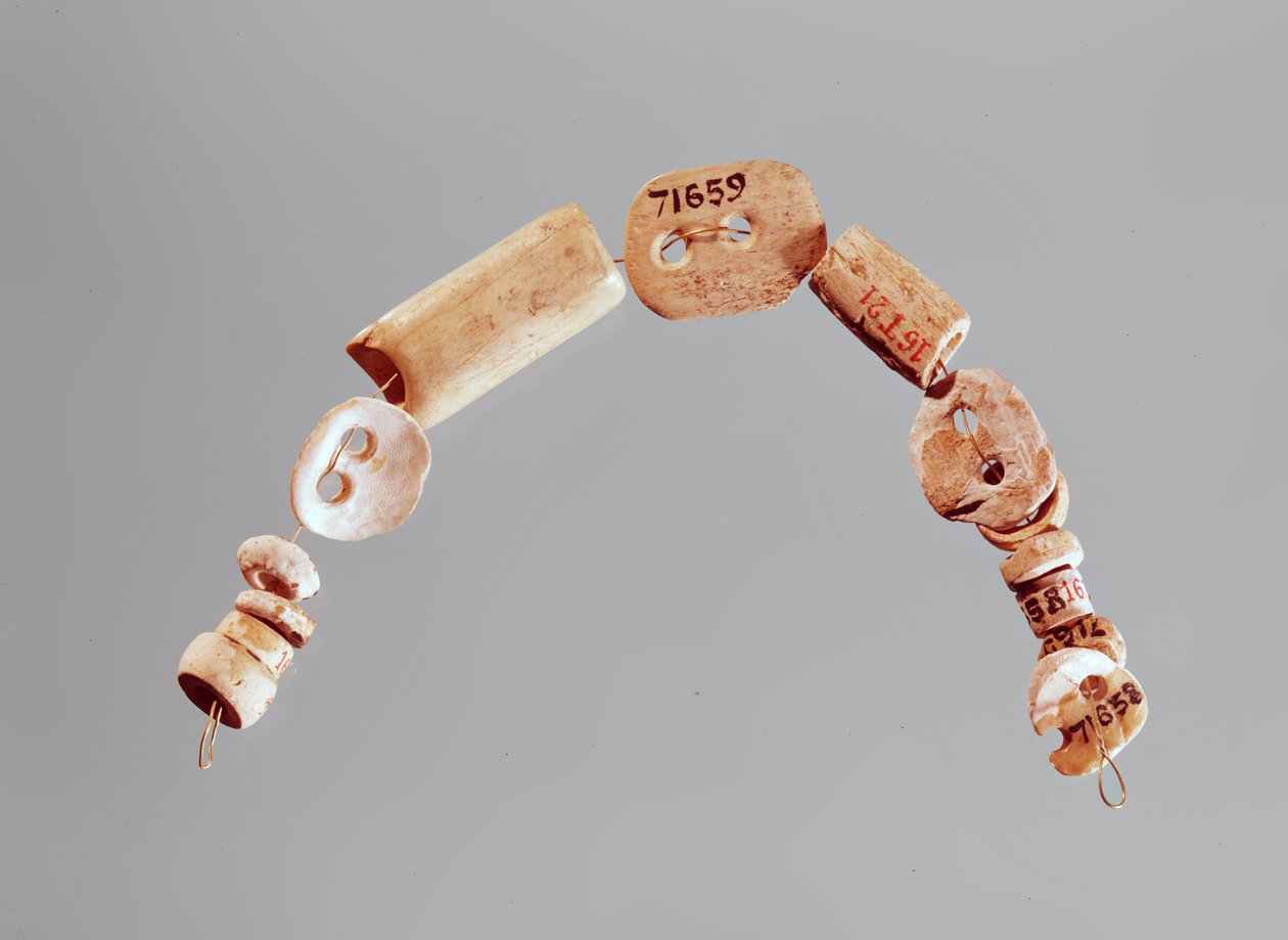 Náhrdelník nebo náramek, kultura Seine-Oise-Marne, 2800-2000 př.nl (kost a vápenec) od Neolithic