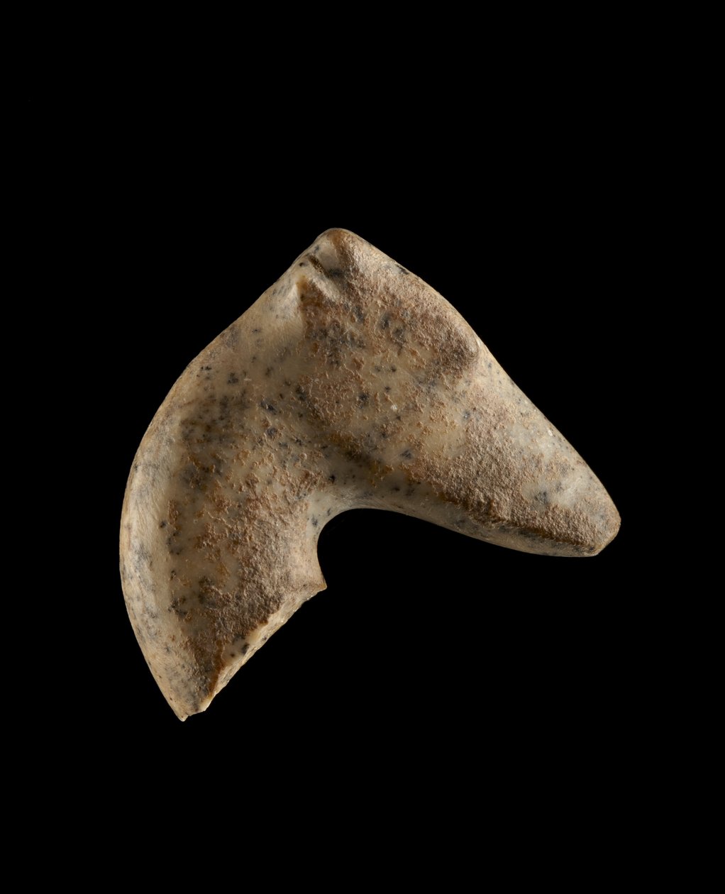 Hlava samice perské gazely, 6000-5500 př.nl (žula) od Neolithic
