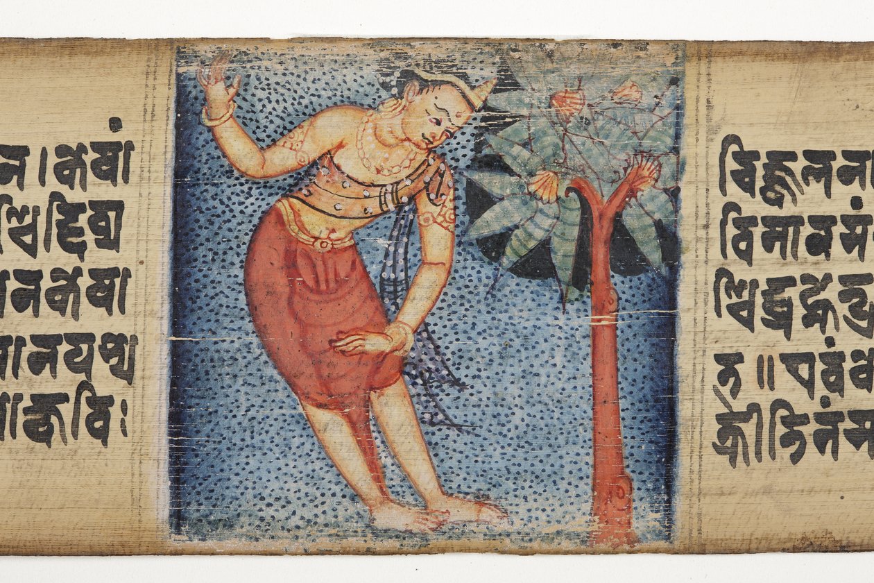 Sudhana stojící vedle stromu z Gandavyuha (neprůhledné wc a inkoust na palmovém listu) od Nepalese School