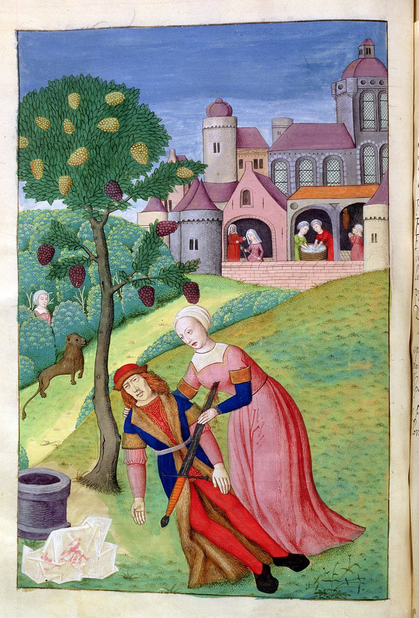 Ms 324 f.44 v. Alcithoe, Pyramus a Thisbe, Mulberry tree mění barvu, z Metamorphoses od Ovidia, 1479 od Netherlandish School
