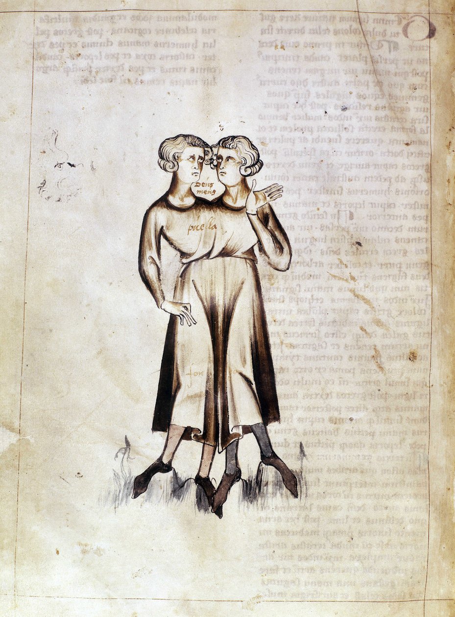 Sloane 3983 f.8v Kresba Gemini, z překladu perského astrologického pojednání od Džafara ibn Muhammada (vellum) od Netherlandish School