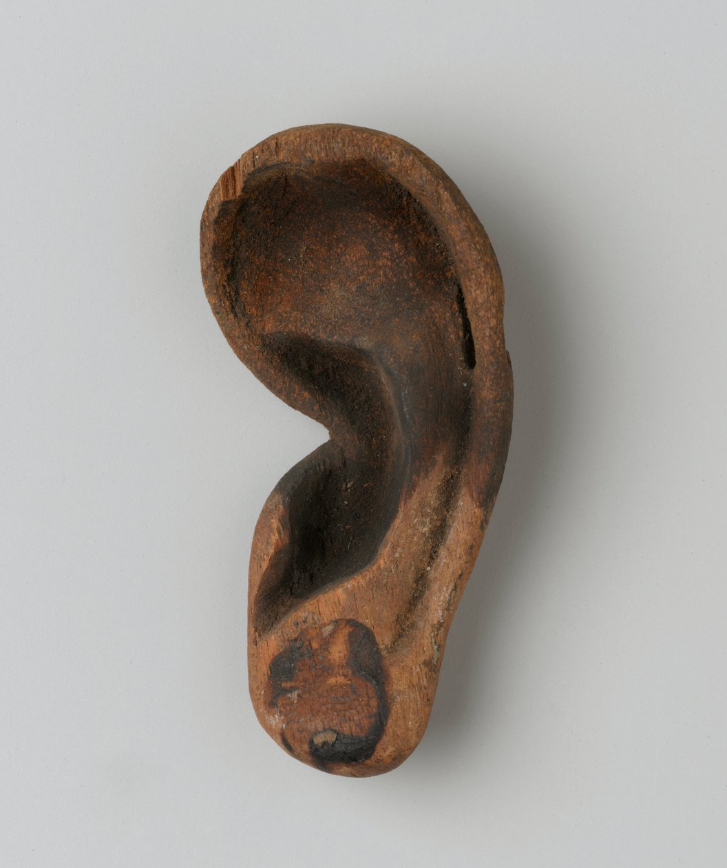 ucho (dřevo) od New Kingdom Egyptian