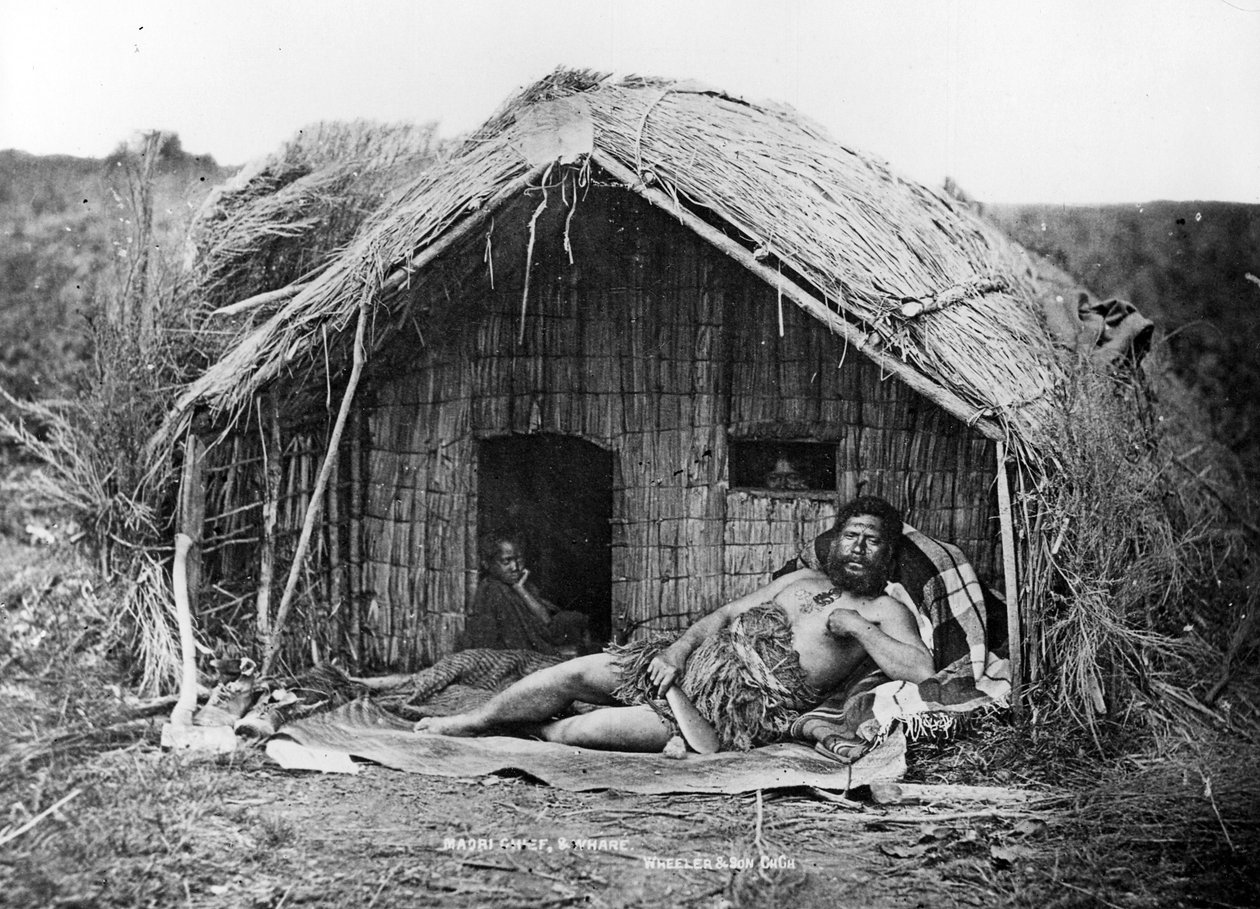Maorský náčelník a dům, kolem 1863-80 od New Zealand Photographer