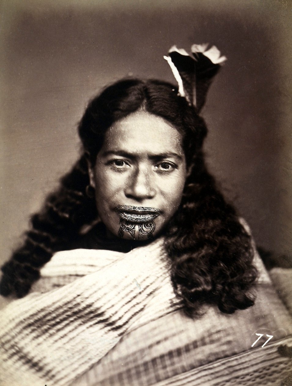 Portrét Maory s potetovaným obličejem, cca 1886-88 od New Zealand Photographer