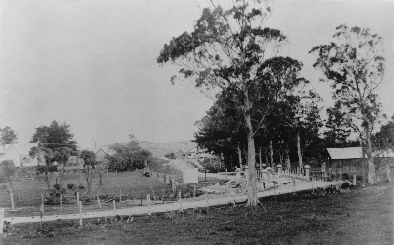 Most přes řeku Waihoihoi směrem k Waipu Township, konec 19. století od New Zealander Photographer