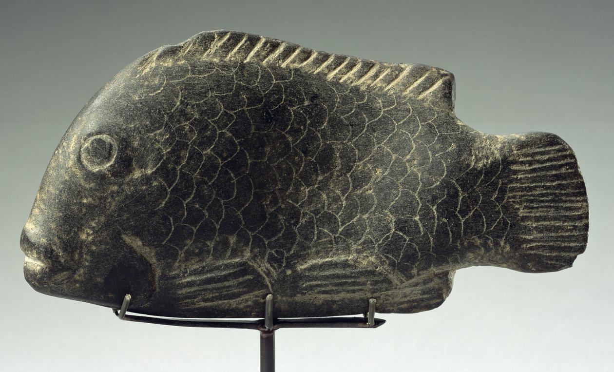 Ryba, 1540-1069 př.nl (tvrdý černý kámen) od New Kingdom Egyptian