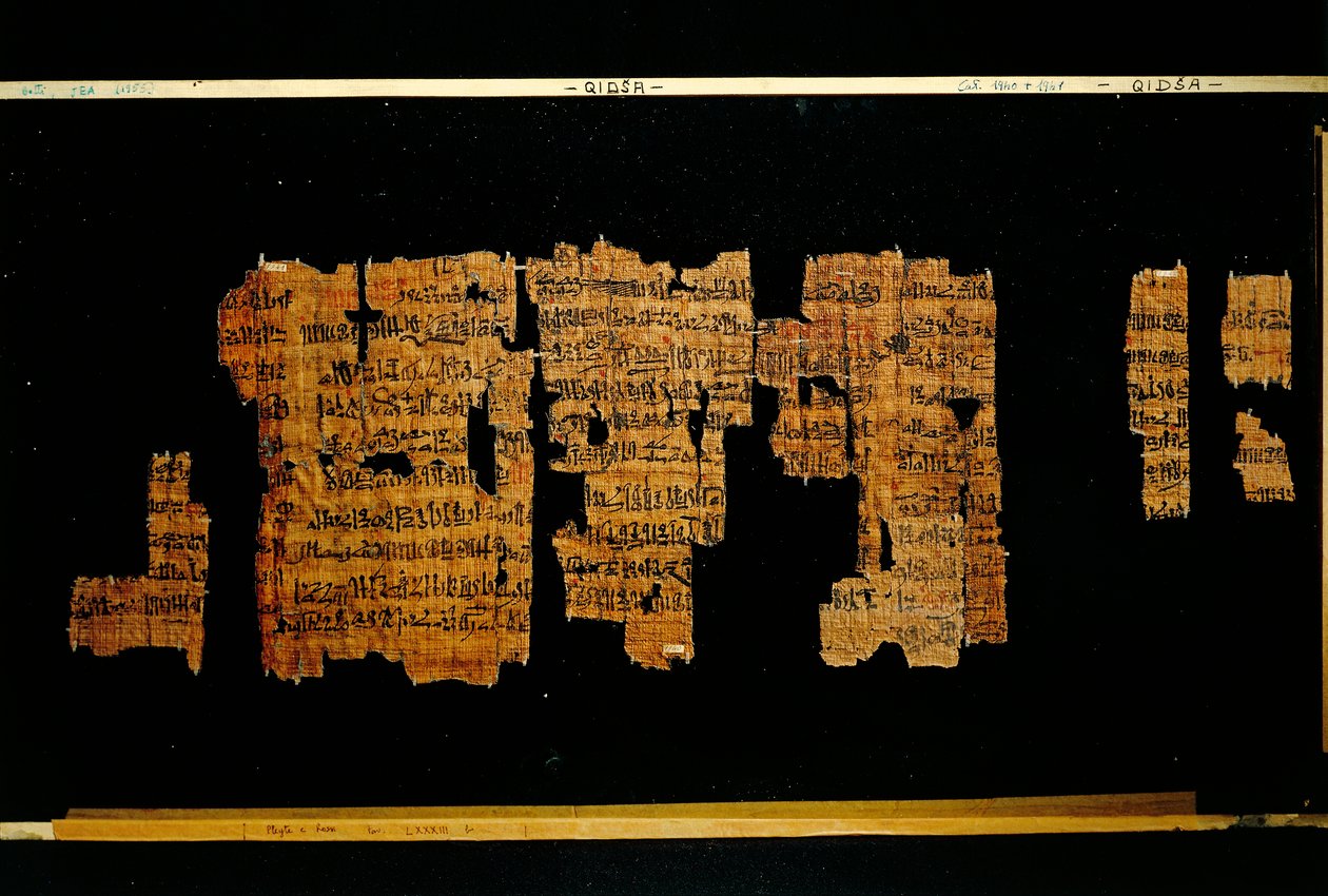 Fragmenty dokumentu obsahujícího činy faraona Thutmose III. (papyrus) od New Kingdom Egyptian