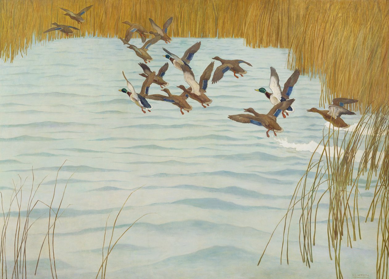 Kachna divoká na podzim, 1941 od Newell Convers Wyeth
