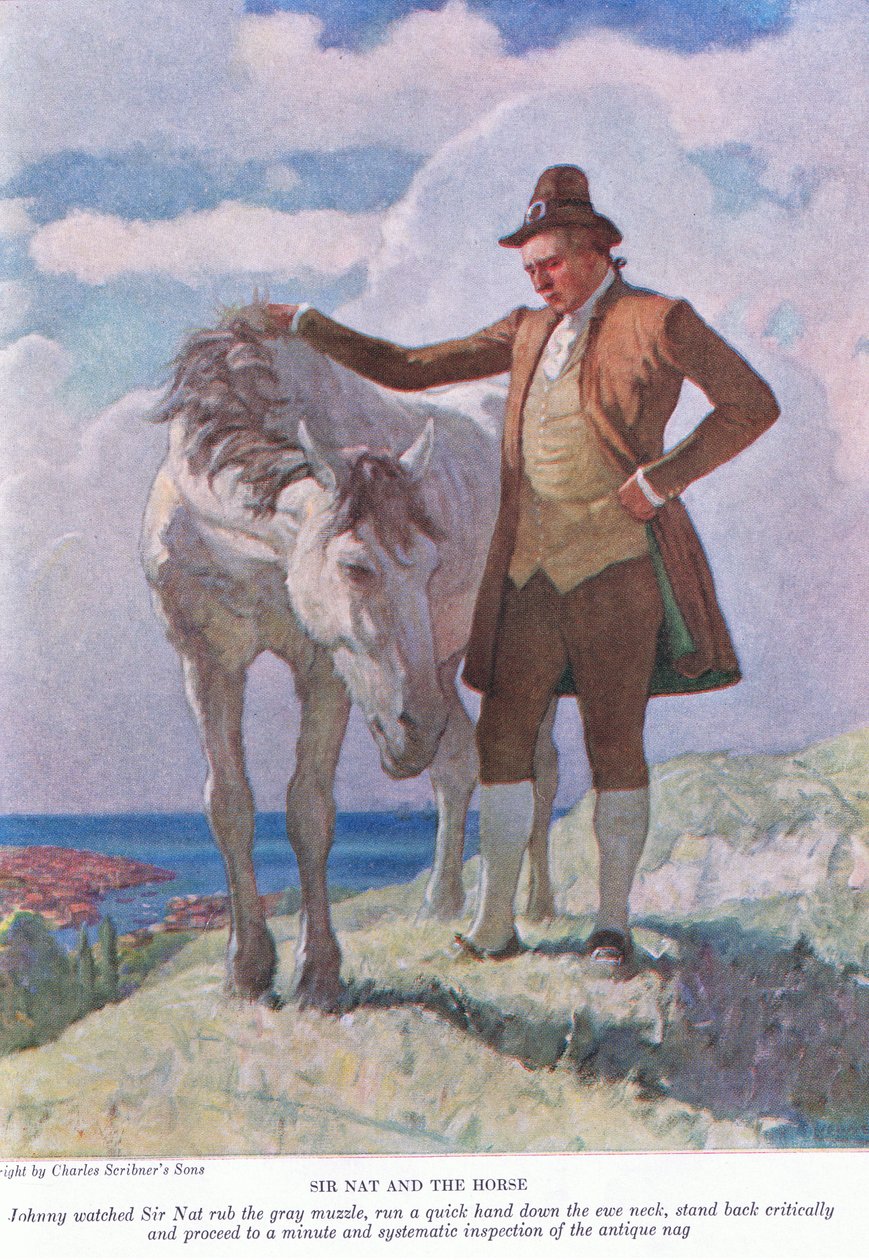 Sir Nat a kůň: Johnny sledoval, jak sir Nat tře šedou tlamu; ustupte a pokračujte k minutové a systematické inspekci, 1928 od Newell Convers Wyeth