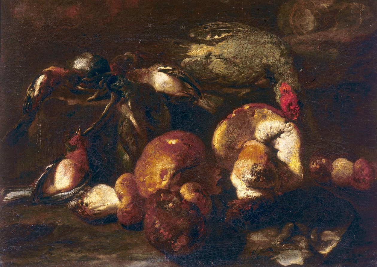 Ptáci a houby od Nicasius 1620 78 Bernaerts