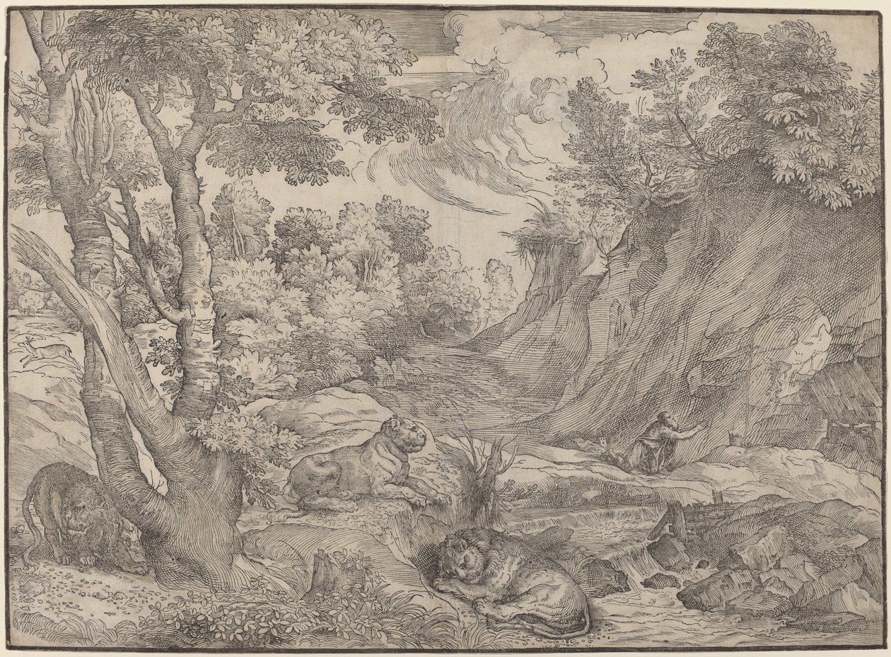 Svatý Jeroným v divočině od Niccolò Boldrini after Titian