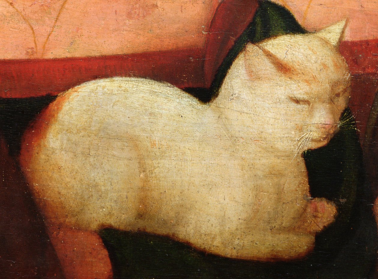 Bílá kočka, detail z filmu „Čtyři lidé se smějí při pohledu na kočku“ (detail 221426) od Niccolo Frangipane