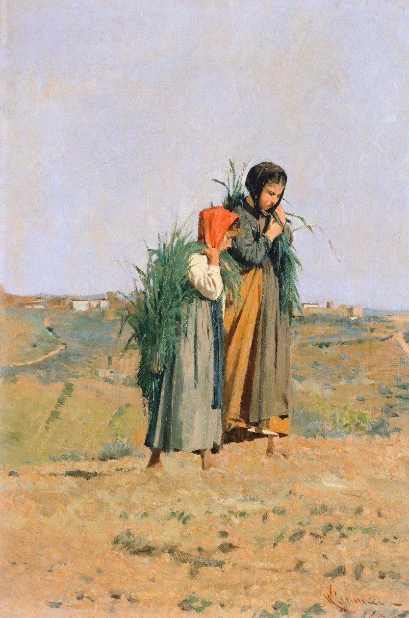 Erbaiole od Niccolo Cannicci
