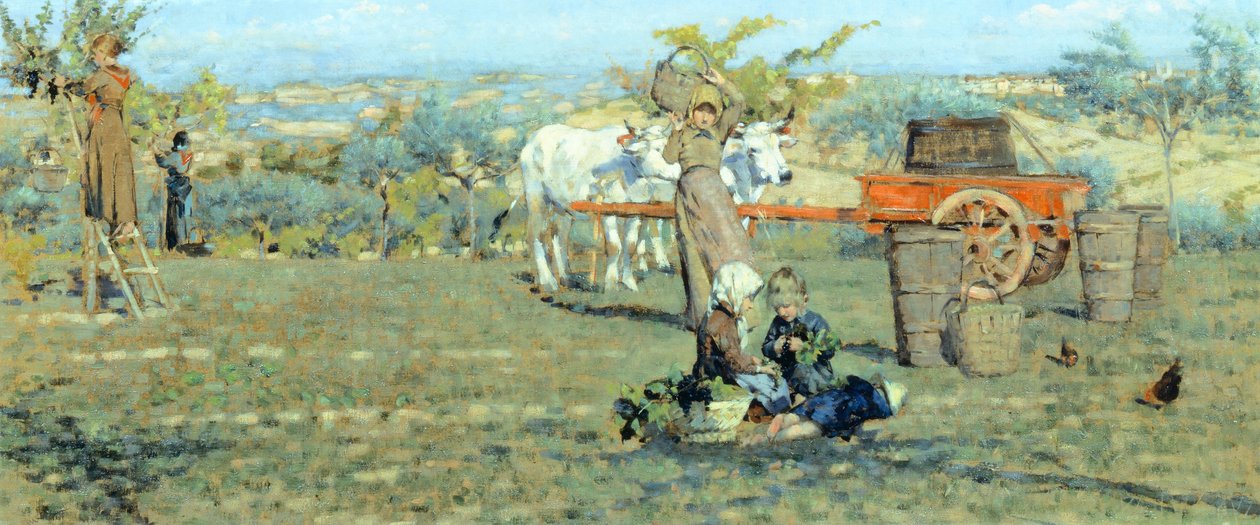V polích, cca 1891, Niccolo Cannicci (1846-1906). Olej na plátně, 41,5 x 90,5 cm. od Niccolo Cannicci
