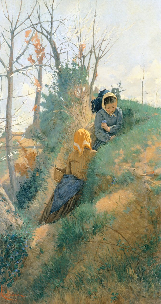 Jaro od Niccolo Cannicci