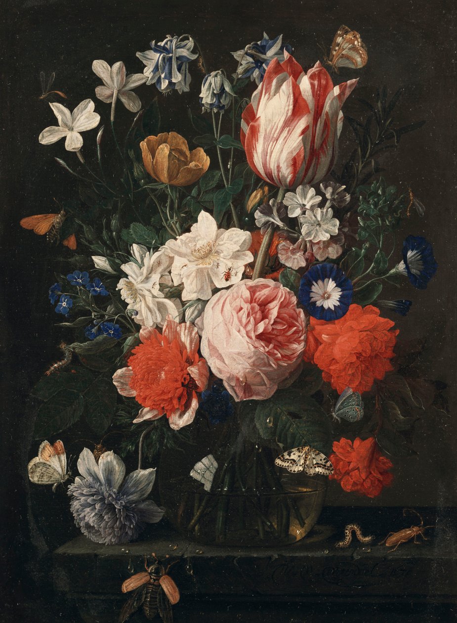 Růže, tulipán, svlačec a další květiny ve skleněné váze na kamenné římse, 1671 od Nicholaes van Verendael