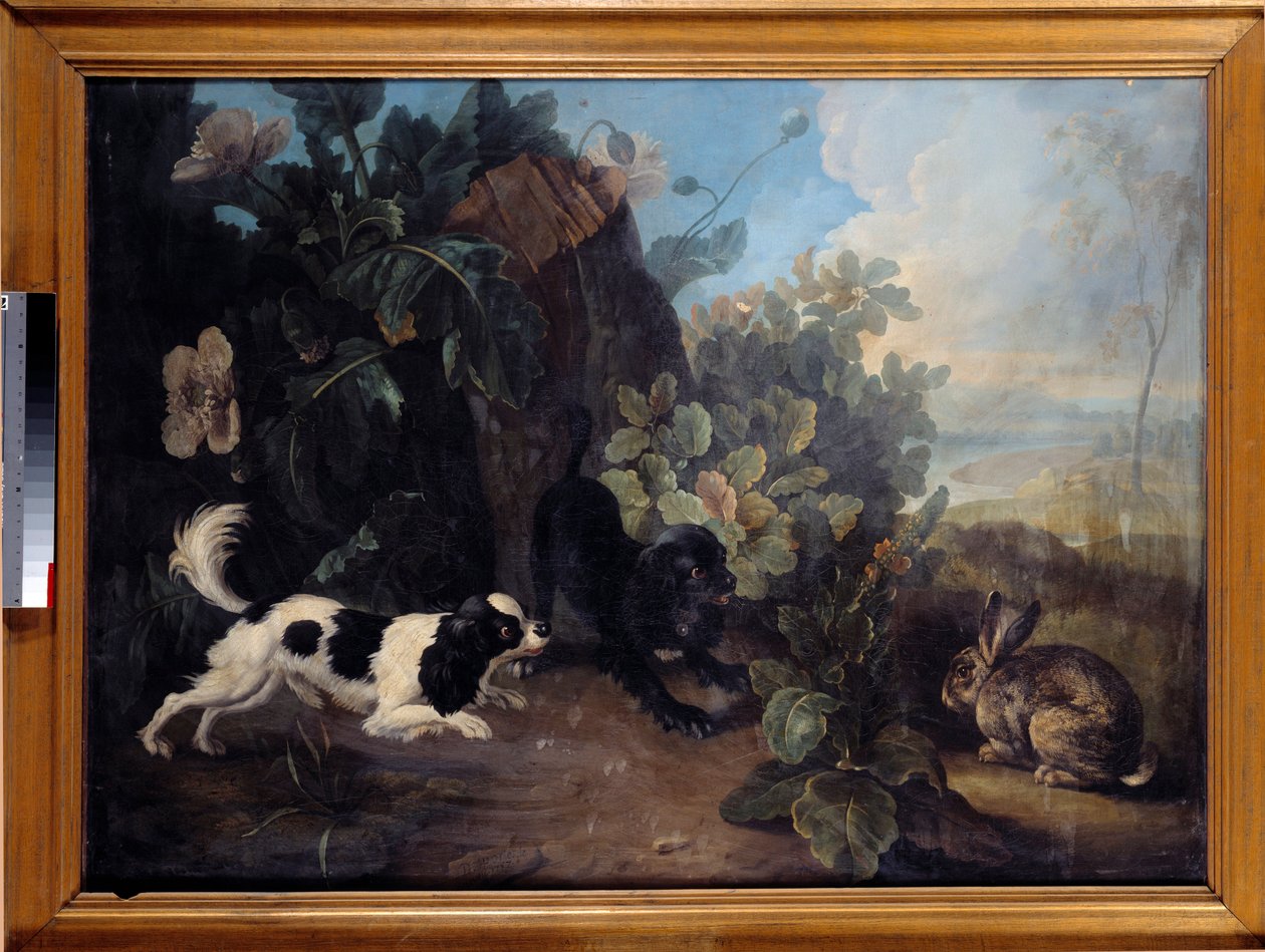 Dva psi a králík Obraz Nicolase Desportes dit le Nepheu (1718-1787) 1757 Ne. 0,97x1,3 m Paříž, Musee du Louvre od Nicholas Desportes