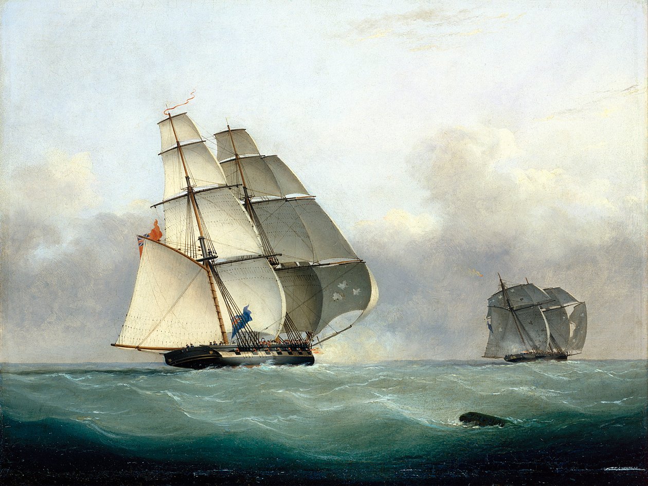 Zajetí otrokáře "Gabriel" lodí HMS "Acorn", 6. července 1841 od Nicholas Matthews Condy