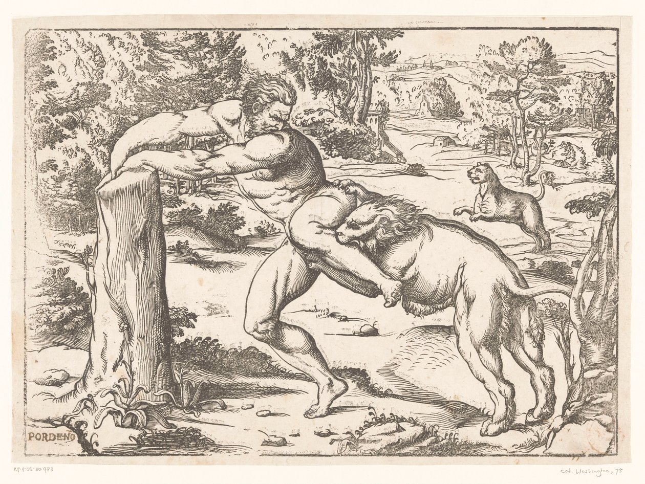 Milo z Crotonu napaden lvem od Nicolò Boldrini (attributed to)