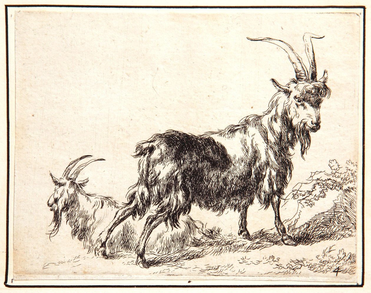 Kozy od Nicolaes Pietersz. Berchem