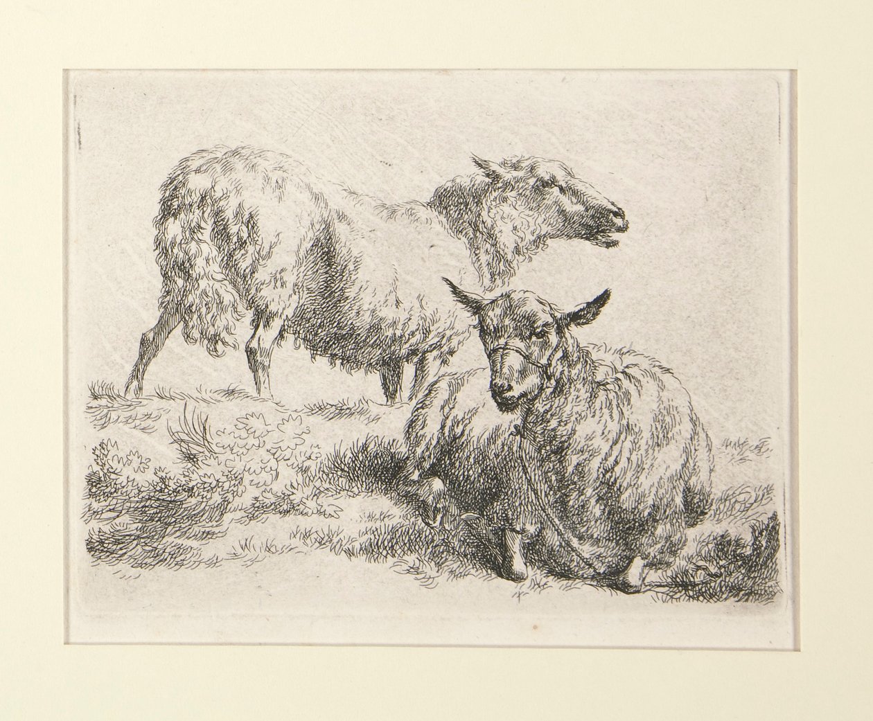 4 lepty z od Nicolaes Berchem