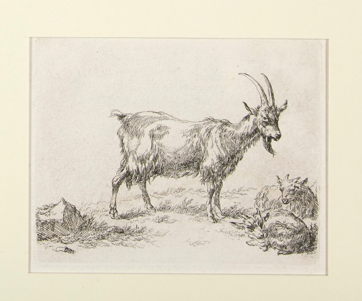 6 leptů z od Nicolaes Berchem