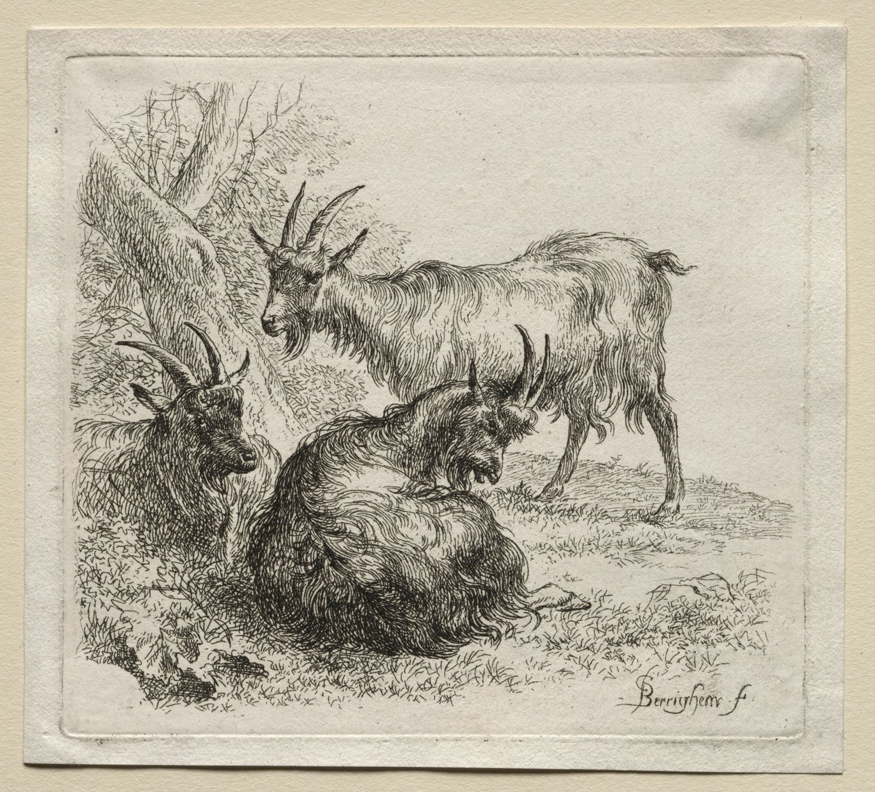 Animalia: Tři kozy od Nicolaes Berchem