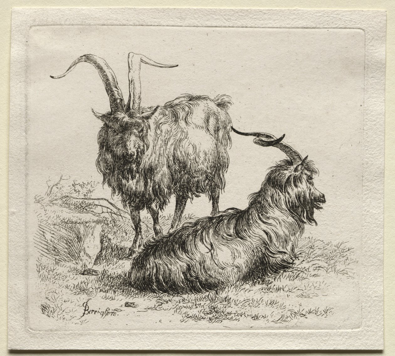 Animalia: Dvě kozy od Nicolaes Berchem