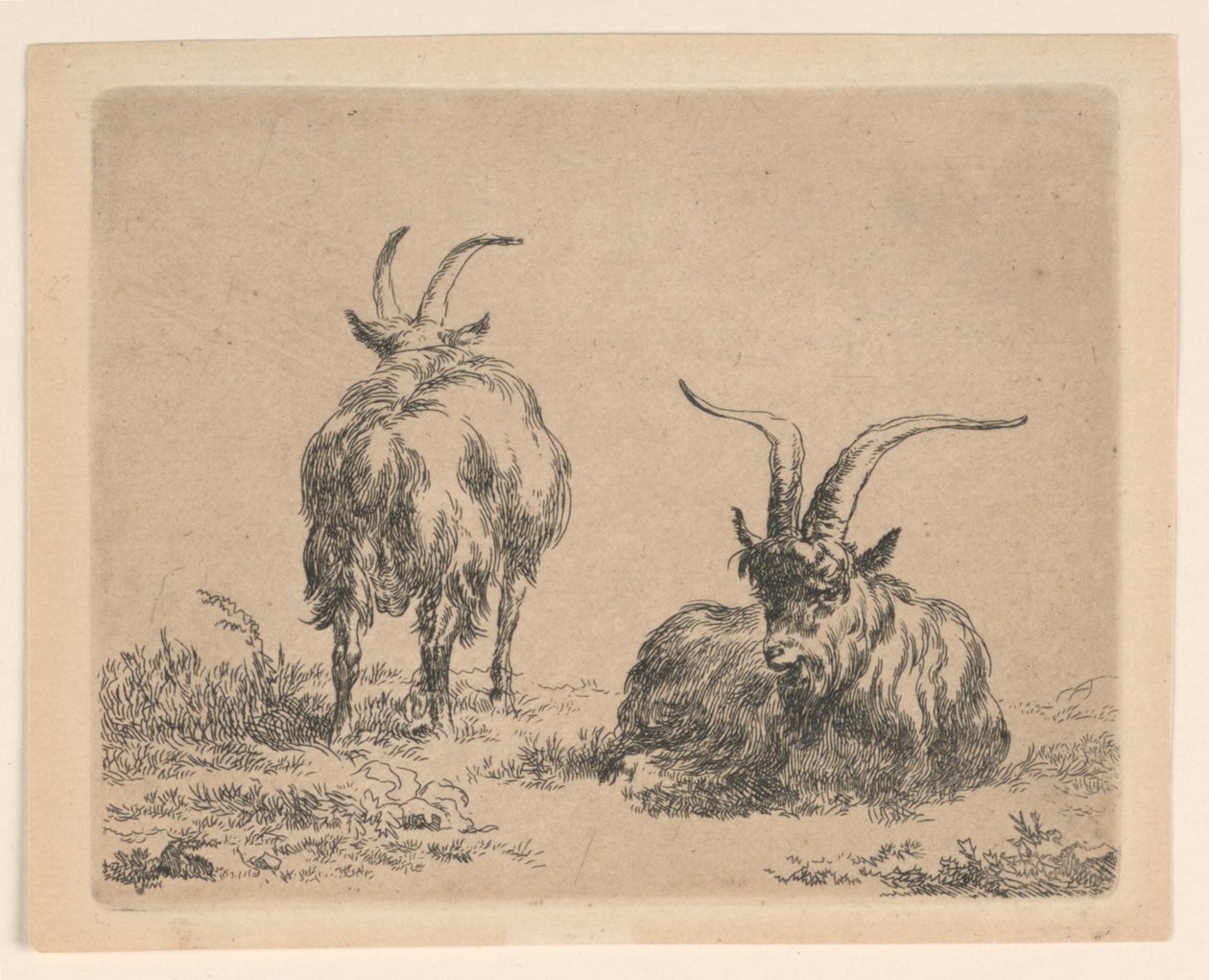 Dvě kozy od Nicolaes Berchem