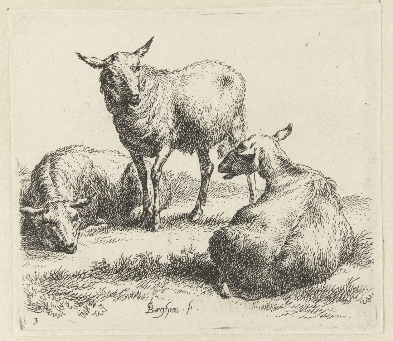 Osušte ovce Schapen (název série) Zvířata oživená a vytištěná vodou pro silný vzduch od Studio and Art of Nicolai Berchem (název série) od Nicolaes Pietersz Berchem