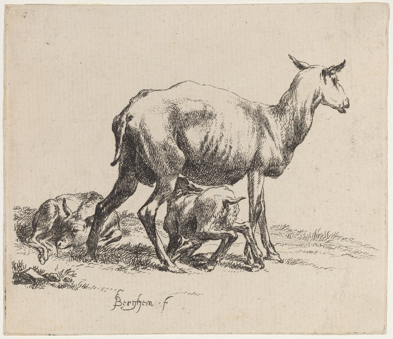 Ovečka Kojící Její Jehně od Nicolaes Pietersz Berchem