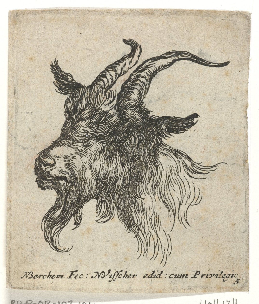 Hlava kozy Zvířata (název seriálu) od Nicolaes Pietersz Berchem