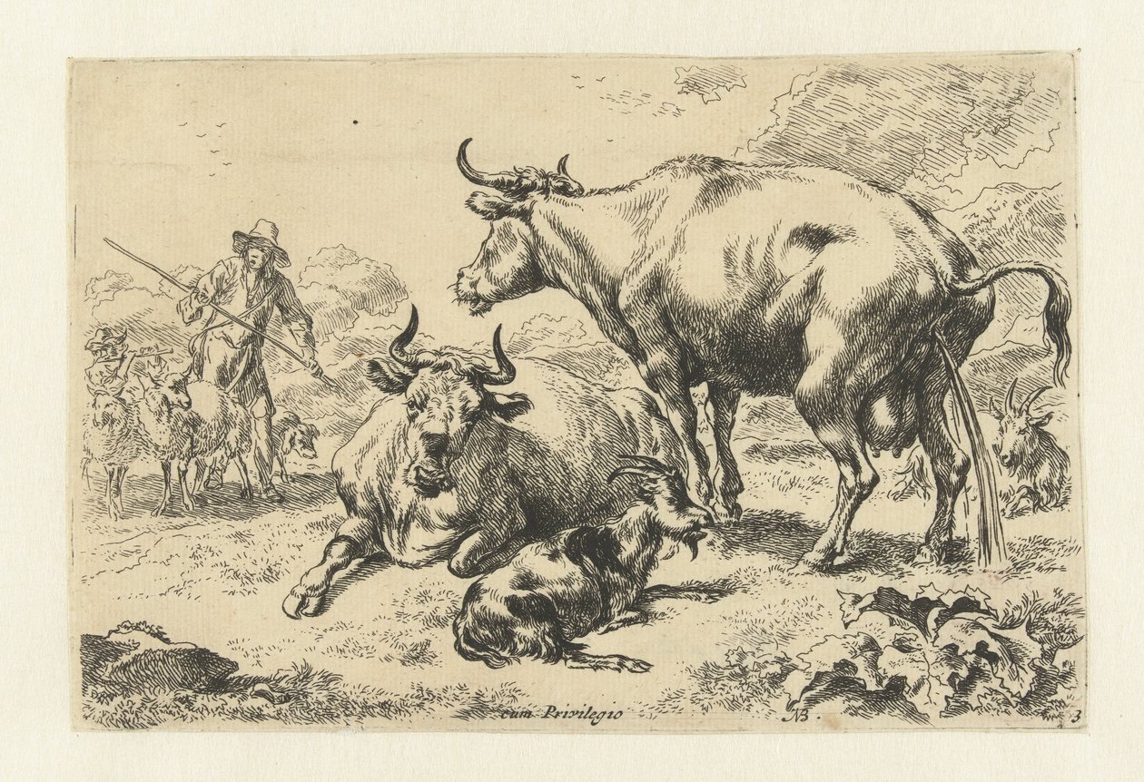 Ležící a čůrající kráva Zvířata (název seriálu) od Nicolaes Pietersz Berchem