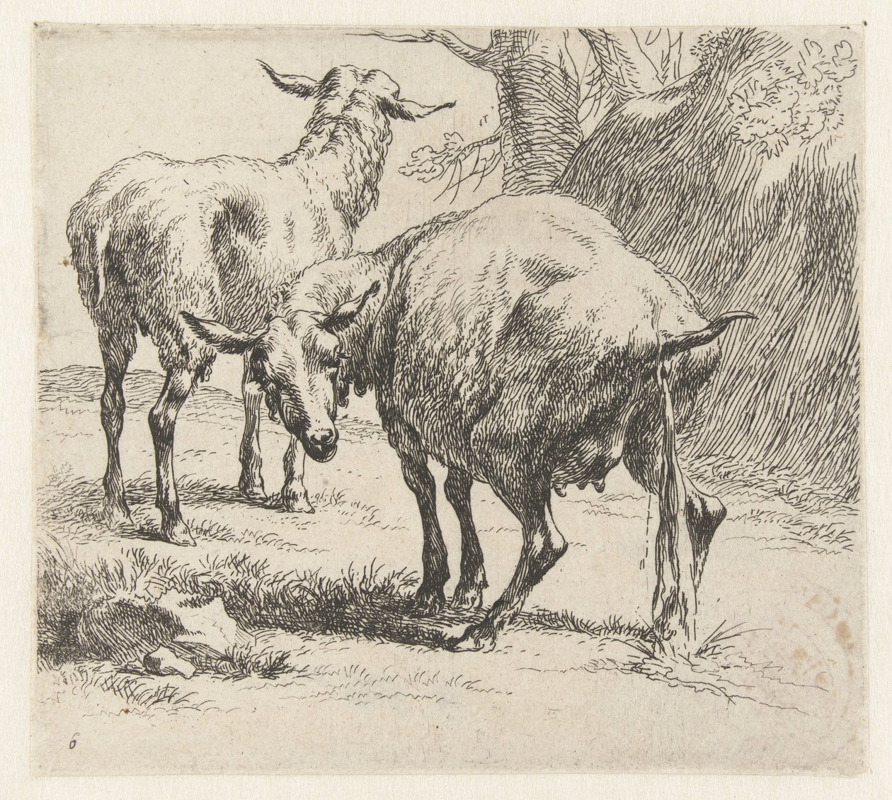 Pissende ooi en een schaap Schapen (název série) Zvířata přitažená k životu a vytištěná ve vodě silným vzduchem Studio and Art of Nicolai Berchem (název série) od Nicolaes Pietersz Berchem