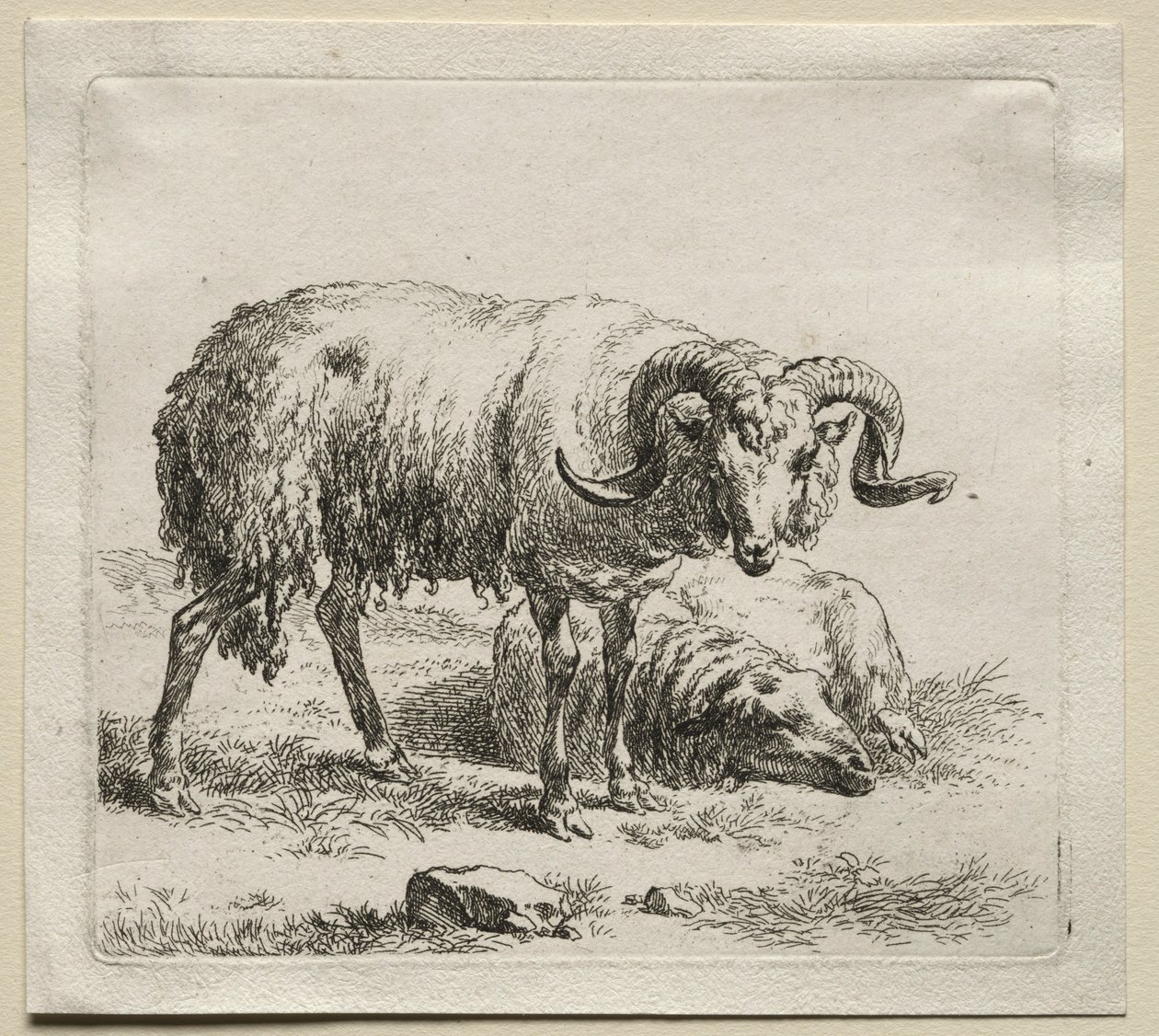 Beran a ovce. od Nicolaes Pietersz. Berchem