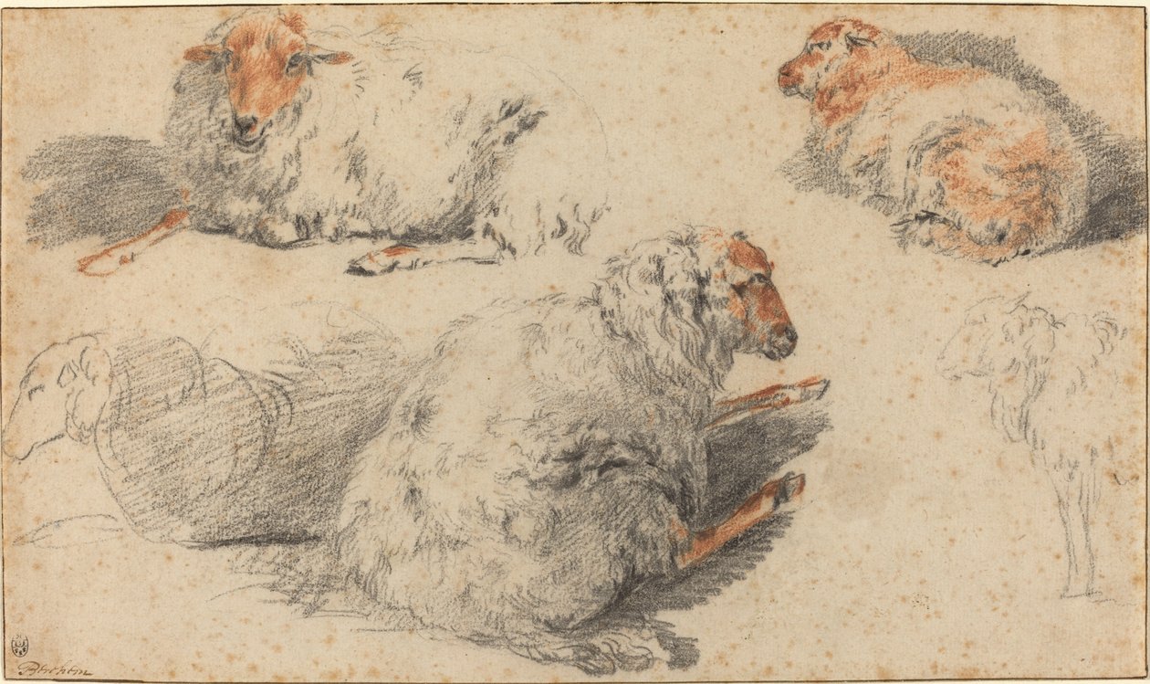 Ovce od Nicolaes Pietersz Berchem