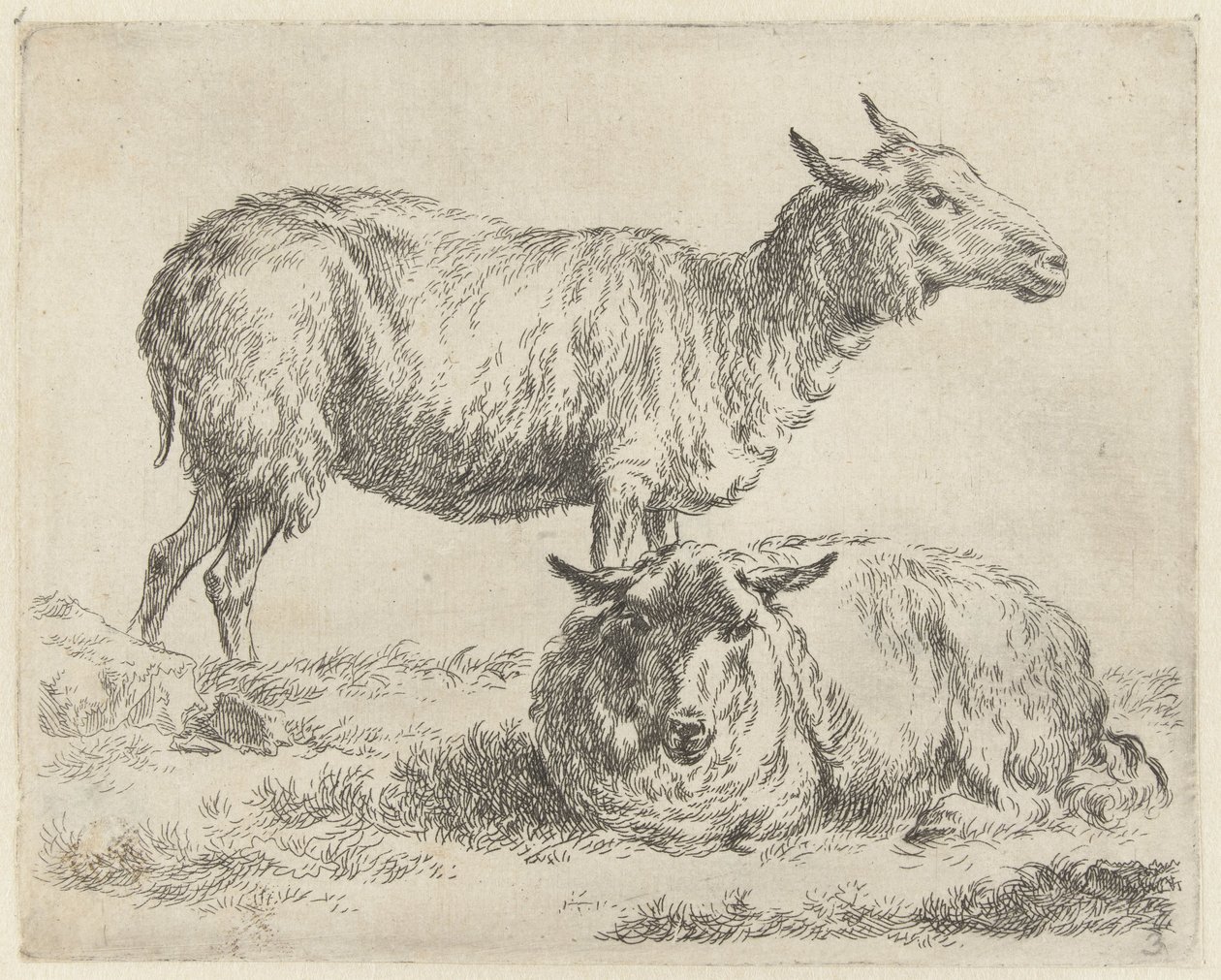 Staand en liggend schaap Schapen (název série) Zvířata oživená a vytištěná vodou pro silný vzduch od Studio and Art of Nicolai Berchem (název série) od Nicolaes Pietersz Berchem