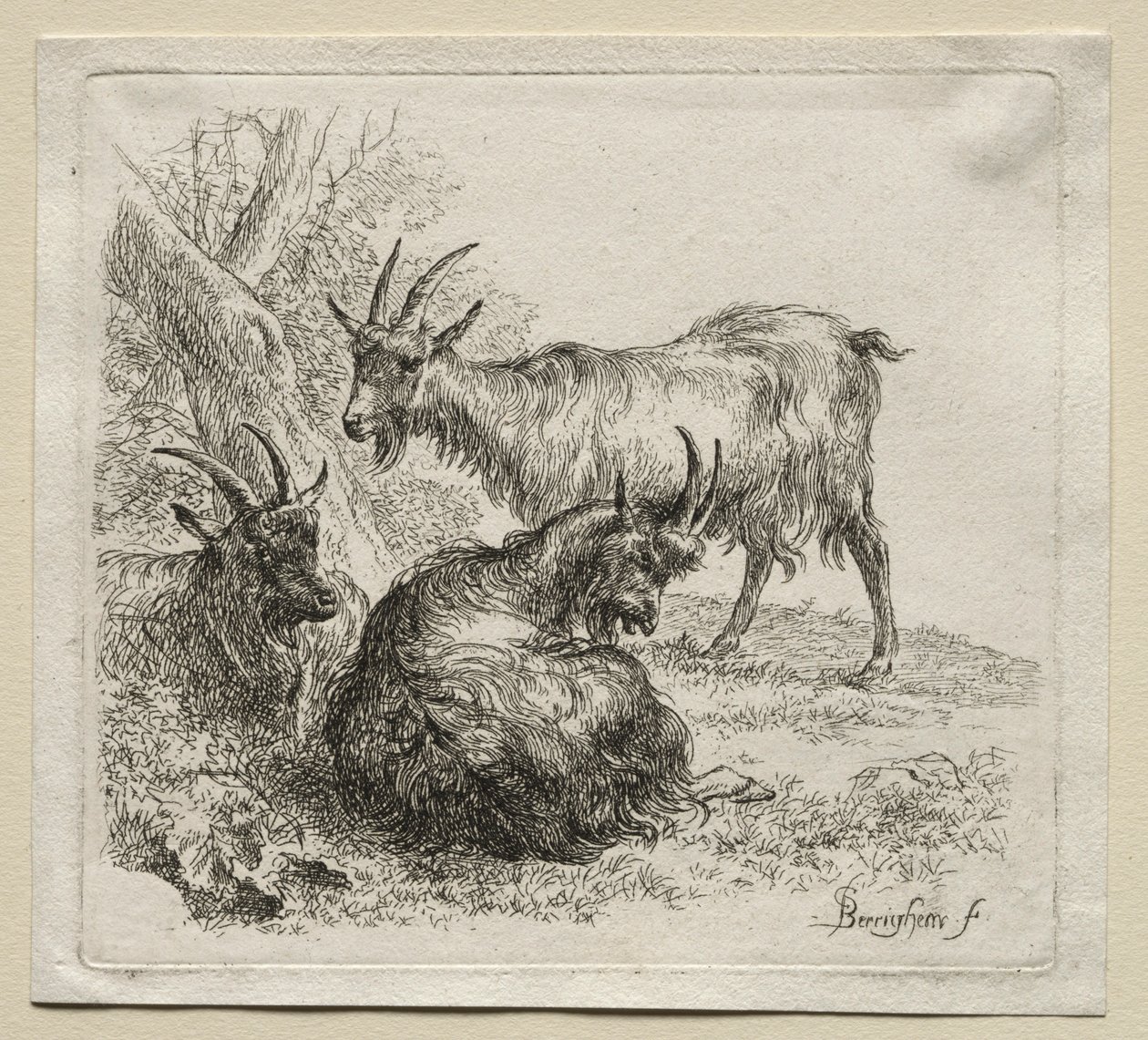 Tři kozy. od Nicolaes Pietersz. Berchem