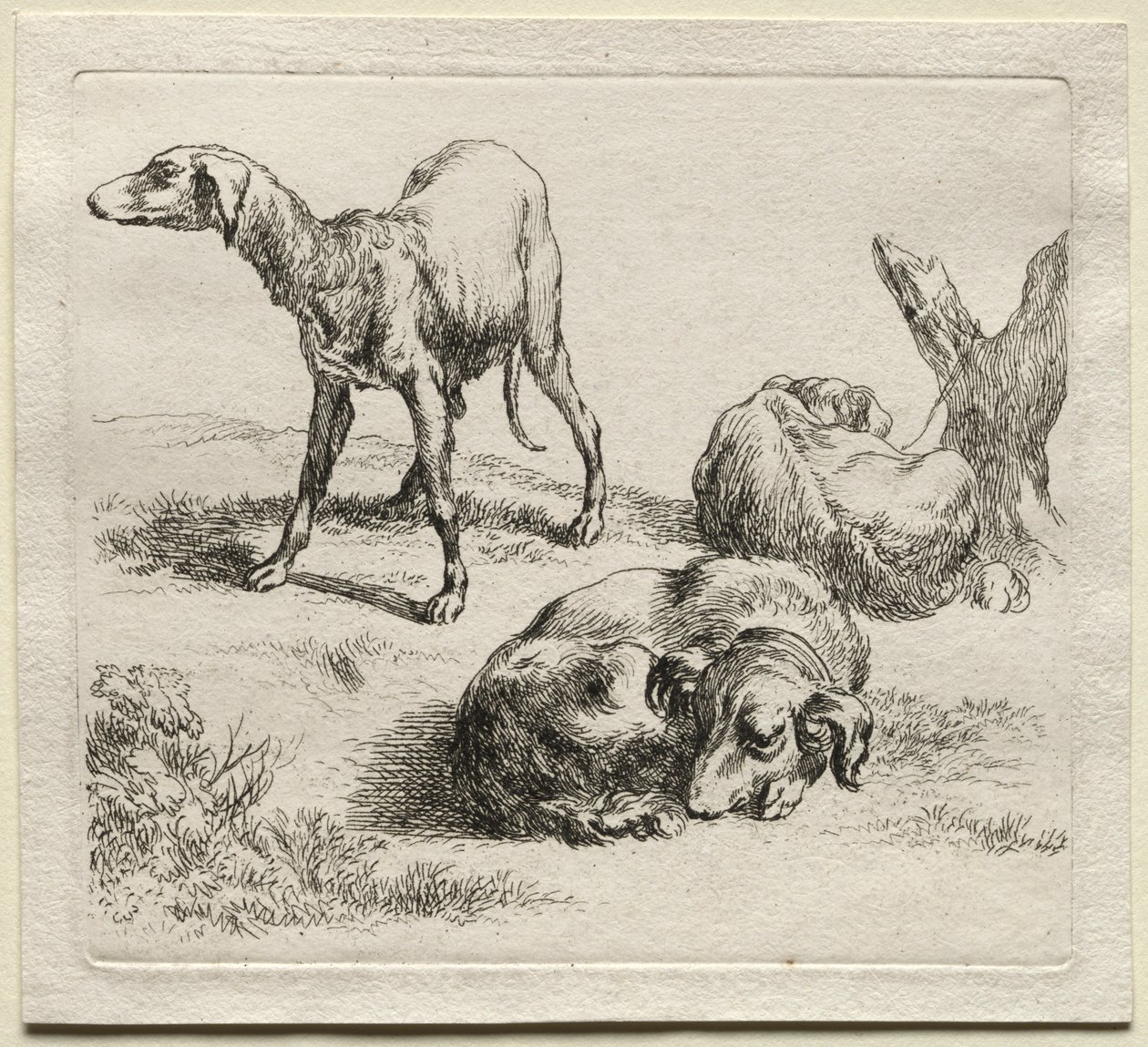 Tři lovečtí psi. od Nicolaes Pietersz. Berchem
