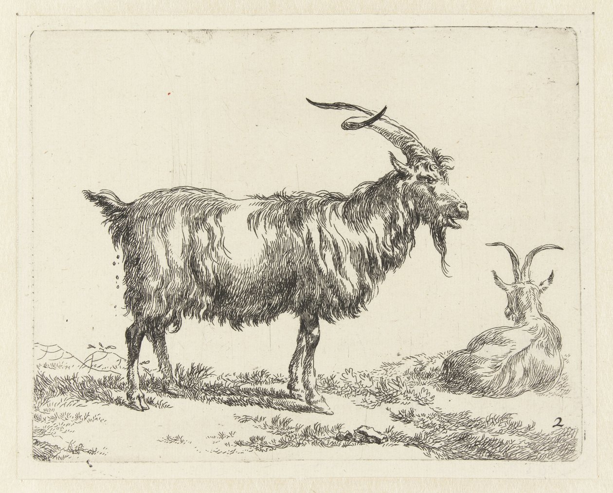 Dvě kozy Geiten (název série) Zvířata přitažená k životu a vytištěná ve vodě silným vzduchem Studio and Art of Nicolai Berchem (název série) od Nicolaes Pietersz Berchem