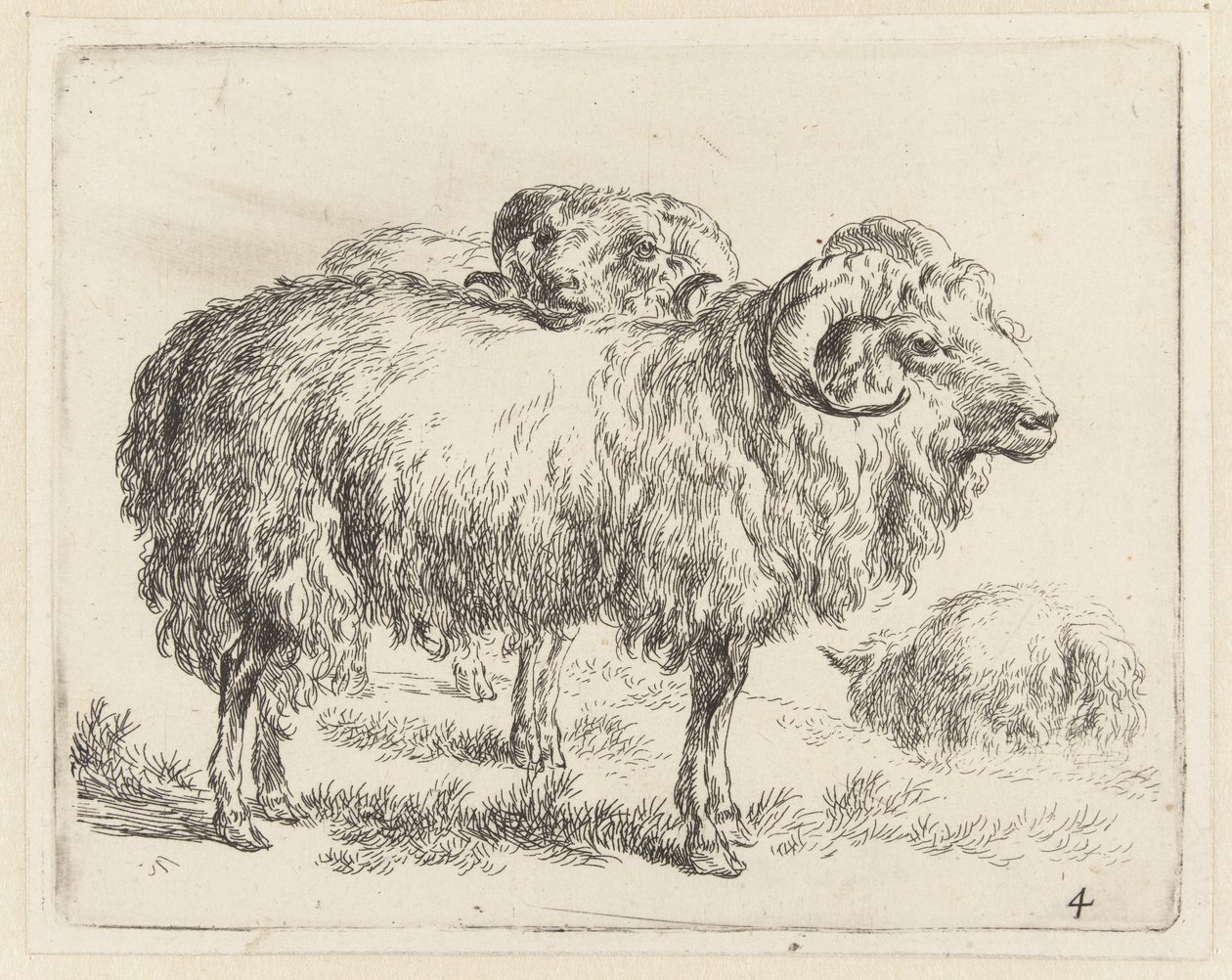 Twee rammen en een schaap Schapen (název série) Zvířata přitažená k životu a vytištěná ve vodě silným vzduchem Studio and Art of Nicolai Berchem (název série) od Nicolaes Pietersz Berchem
